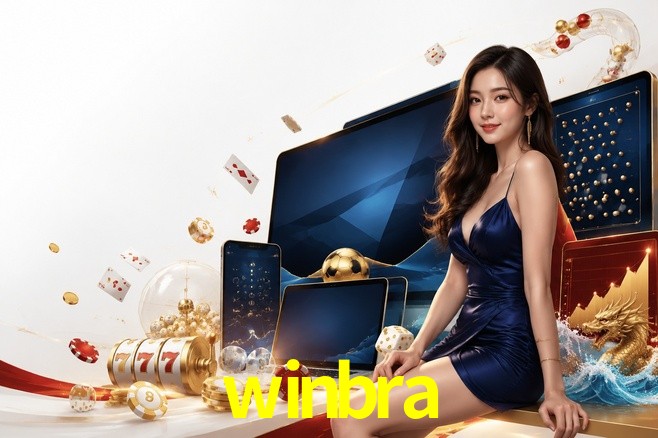 Security Systems winbra